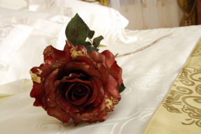 Отель проживание номера апартаменты отдых в Жилине в Словакии Best Western Palace Hotel Polom